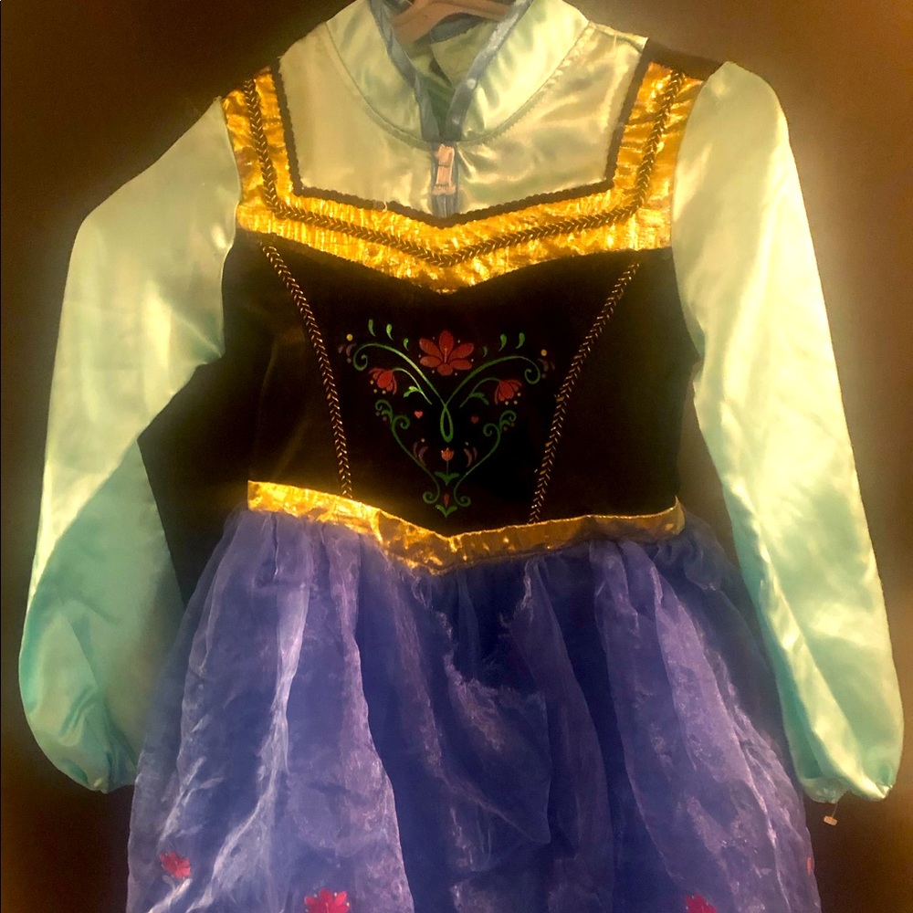 Disney Princess holiday dress